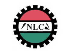 NLC Spokesperson Rejects N100,000 Minimum Wage Proposal, Demands N1 Million Benchmark