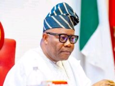 Senate Calls for Crackdown on Bandits Flaunting Cash and Criminal Activities on Social Media Platforms