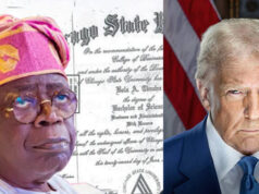Nigerian Officials Are Notorious For Document Forgery, USCIS Tells Court