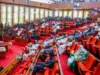 Senate Passes State Police Bill, Governors to Appoint Commissioners