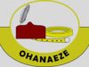 Ohanaeze Receives Igbo Charter Report on Strategic National Engagement