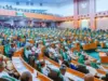Reps Probe: Fake Presidential Council Accounts Opened On OAGF Directive Have Zero Balance, CBN Says