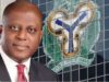 Nigeria’s Foreign Reserves Rise Above $52.5bn, Highest in 17 Years