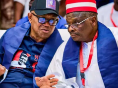OK Movement DG Peter Ameh Resigns, Cites 2027 Kogi East Senate Bid