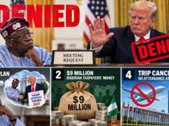 US Advocacy Firm Claims Tinubu’s Bid for Trump Meeting, Endorsement Ahead of 2027 Election Failed