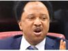 Peter Obi Remains Consistent On Petrol Subsidy Removal, Refuses To Promise Impossible — Shehu Sani
