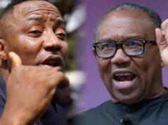 Sowore Accuses Peter Obi of Secretly Backing Atiku, Plotting to Become SGF